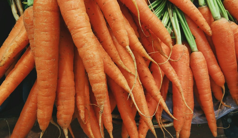 Fresh vegetables, sample harvest photo