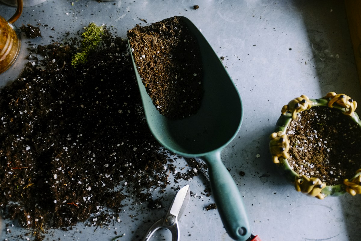 Garden tools and plants, sample photo